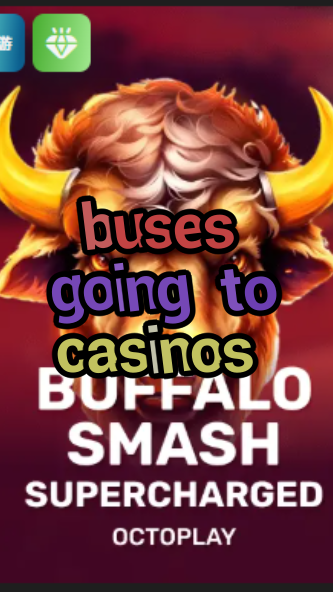 buses going to casinos-w4cy2mdjlx2bf.com